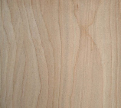 1 2 baltic birch plywood
